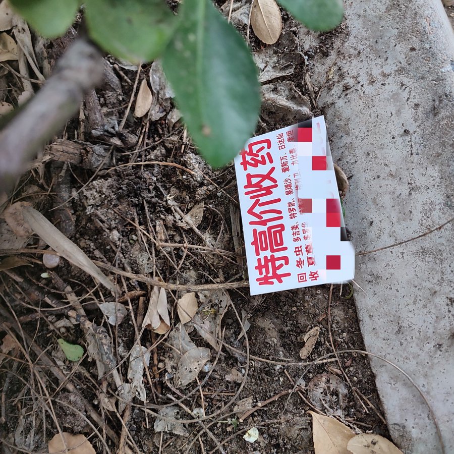 24小时医保取现回收(在线24小时回收vx) 24小时医保取现回收(在线24小时回收vx)